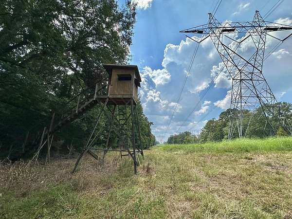 1,515 Acres of Recreational Land for Sale in Terry, Mississippi