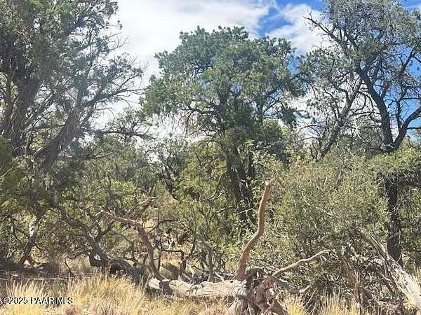 38.2 Acres of Recreational Land for Sale in Seligman, Arizona