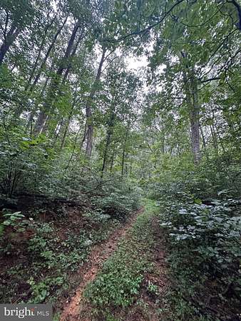 65.2 Acres of Recreational Land for Sale in Paris, Virginia