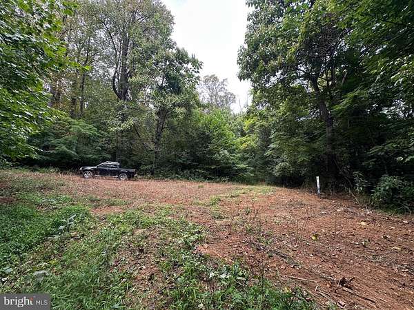65.2 Acres of Recreational Land for Sale in Paris, Virginia