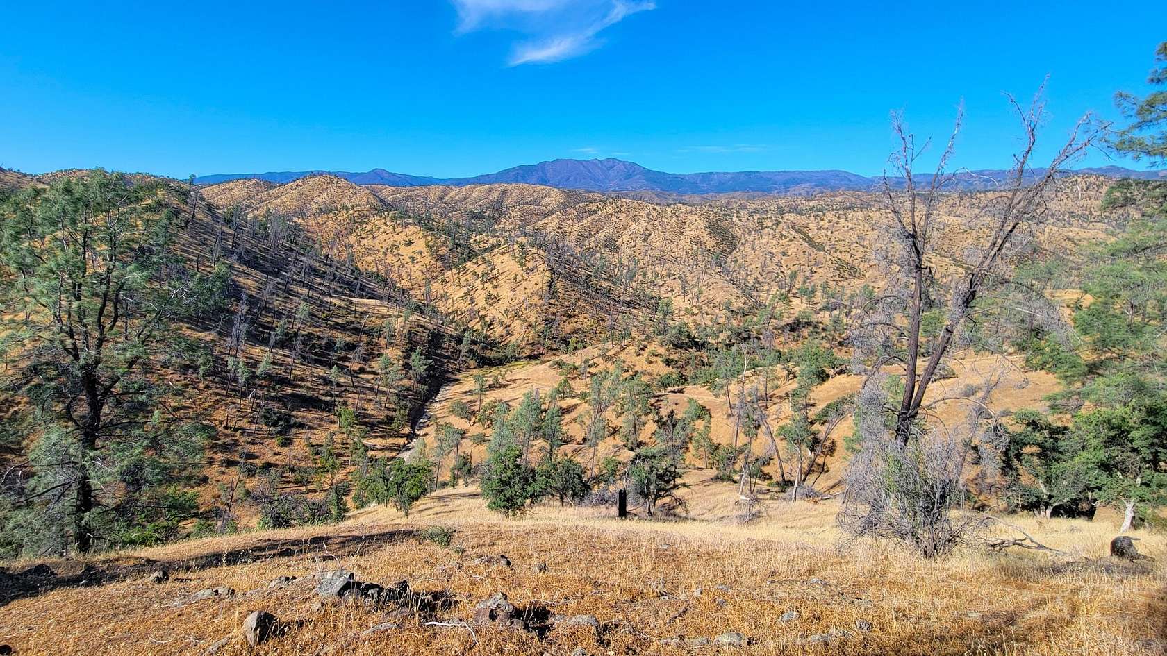 320 Acres of Land for Sale in Red Bluff, California