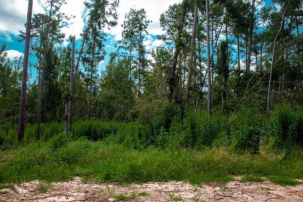 Residential Land for Sale in Clarks Hill, South Carolina