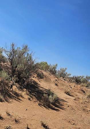 10 Acres of Residential Land for Sale in Los Lunas, New Mexico