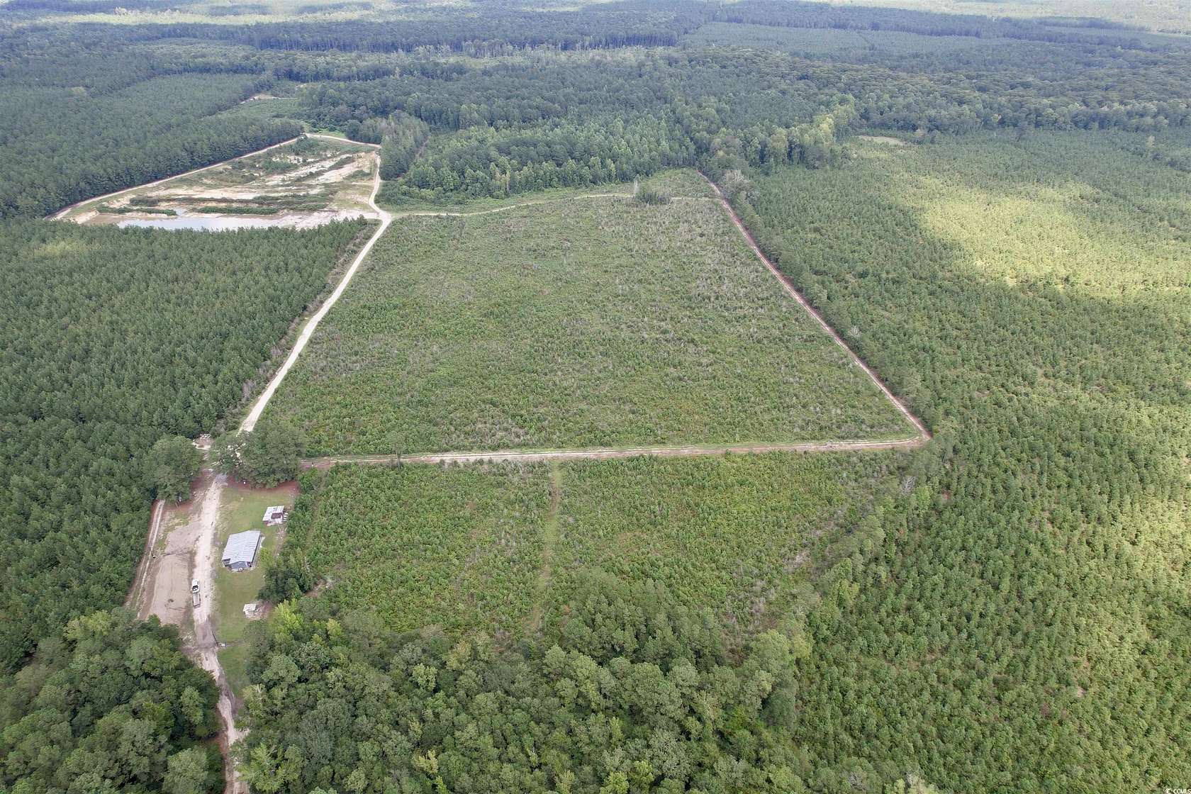 97.8 Acres of Recreational Land for Sale in Pamplico, South Carolina