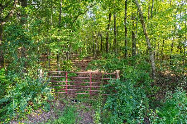 40 Acres of Recreational Land for Sale in Niota, Tennessee