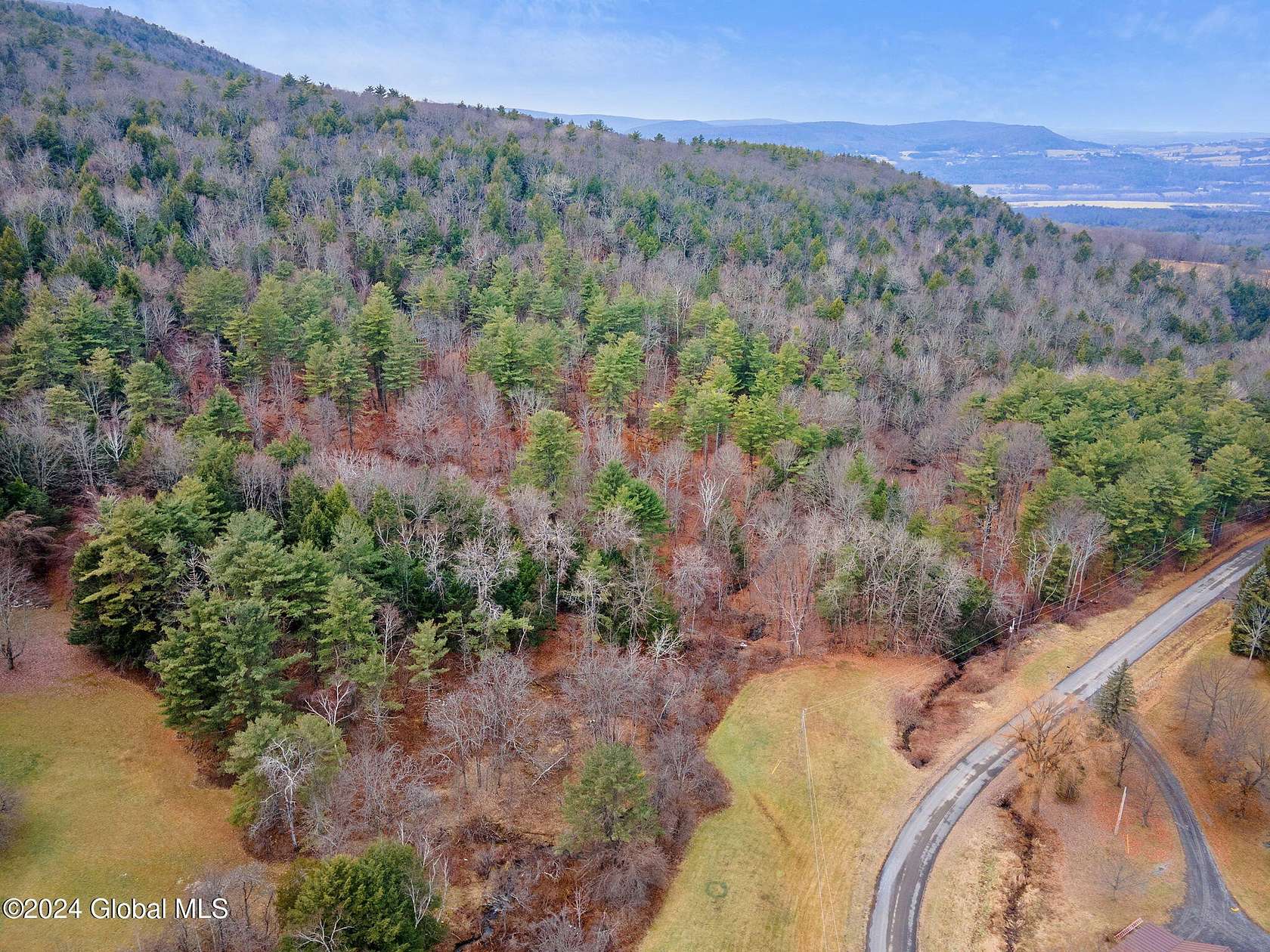 81.9 Acres of Land for Sale in Schoharie, New York