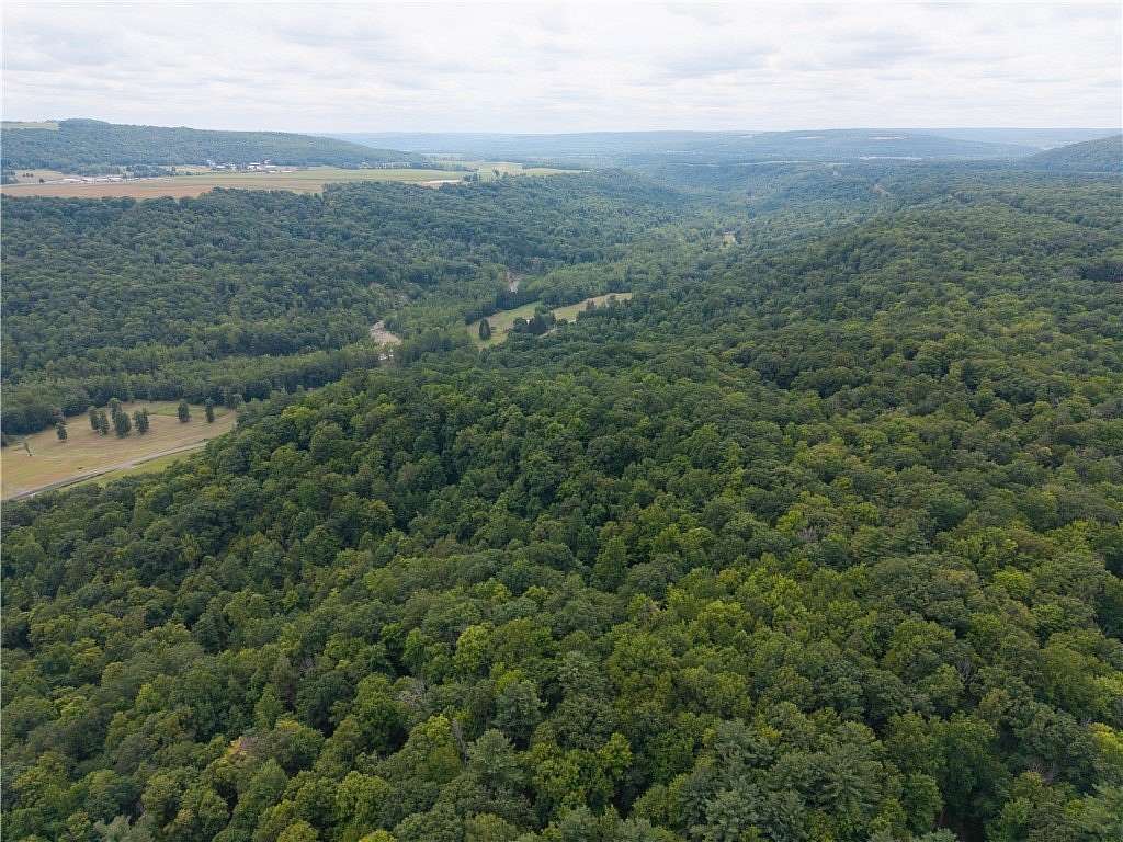 47 Acres of Recreational Land for Sale in Dansville Town, New York