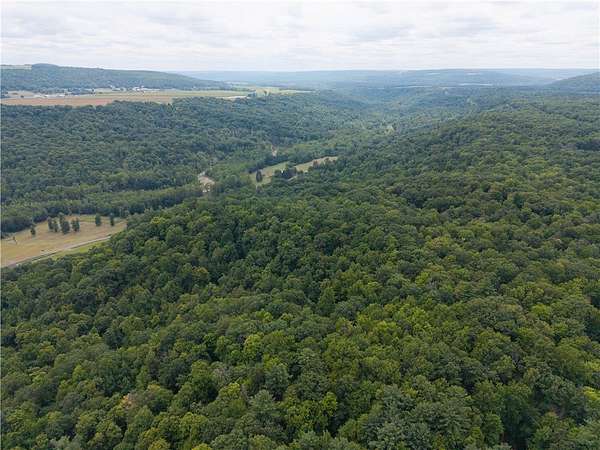 47 Acres of Recreational Land for Sale in Dansville Town, New York