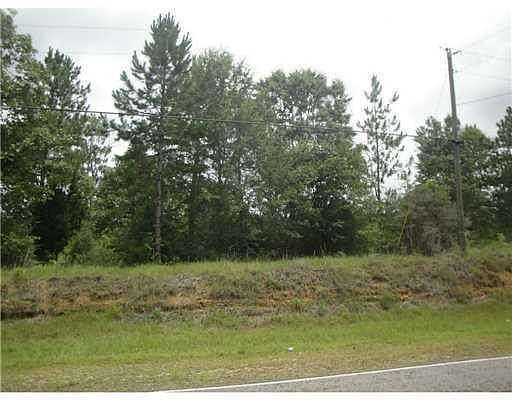 20 Acres of Land for Sale in Poplarville, Mississippi