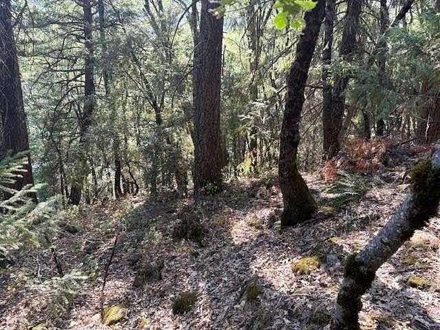 2 Acres of Residential Land for Sale in Dunsmuir, California