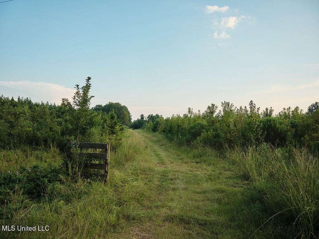 117 Acres of Recreational Land for Sale in Pulaski, Mississippi