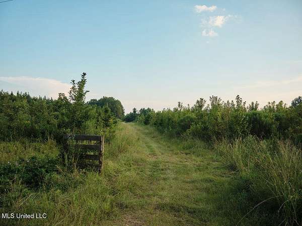 117 Acres of Recreational Land for Sale in Pulaski, Mississippi