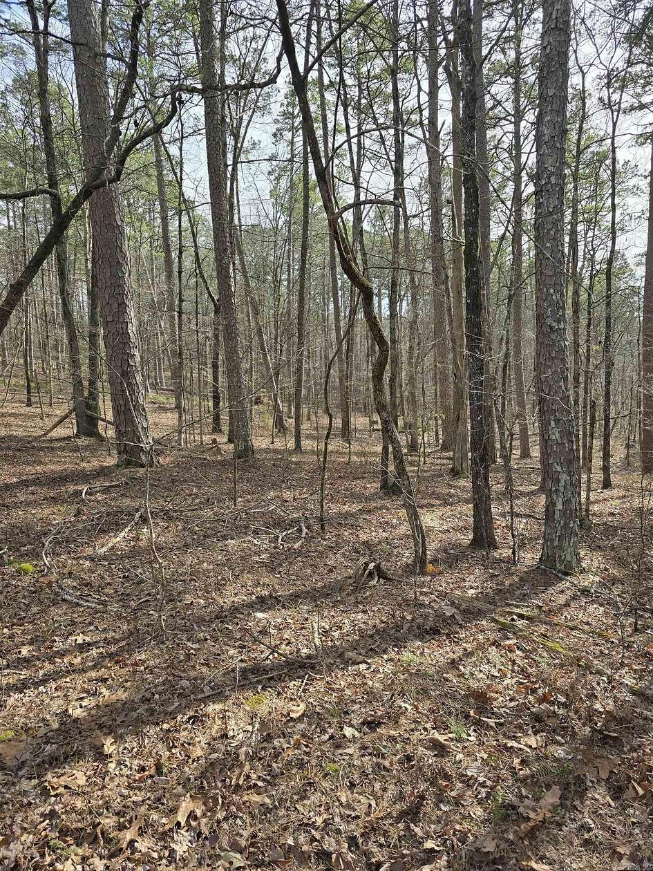 0.28 Acres of Residential Land for Sale in Hot Springs Village, Arkansas