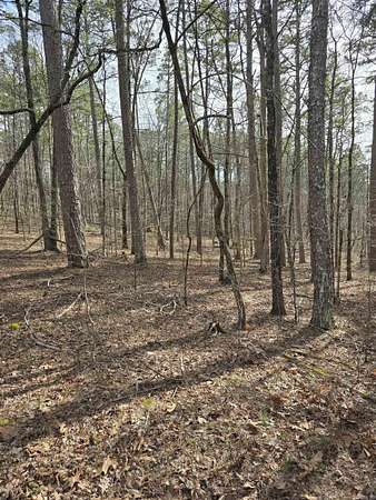 0.28 Acres of Residential Land for Sale in Hot Springs Village, Arkansas