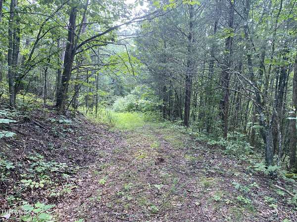 103 Acres of Land for Sale in Blackwater, Virginia