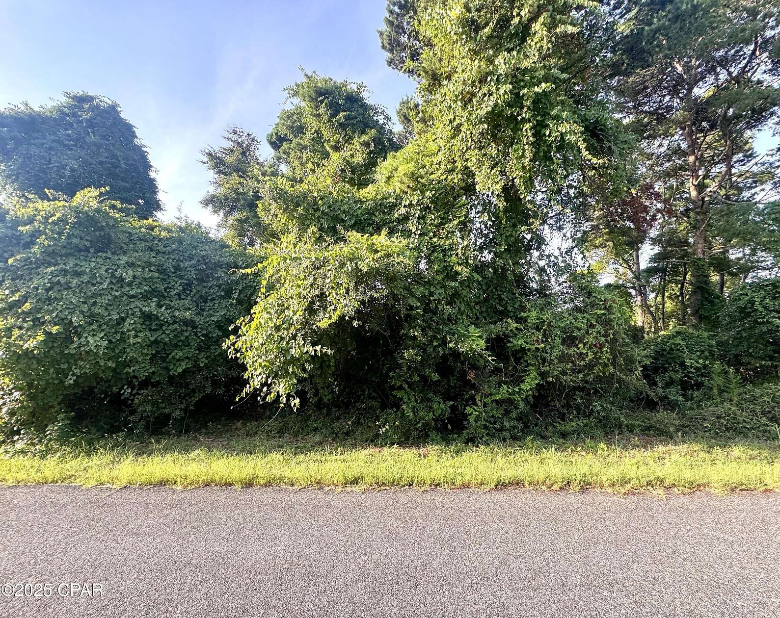 0.19 Acres of Residential Land for Sale in Santa Rosa Beach, Florida