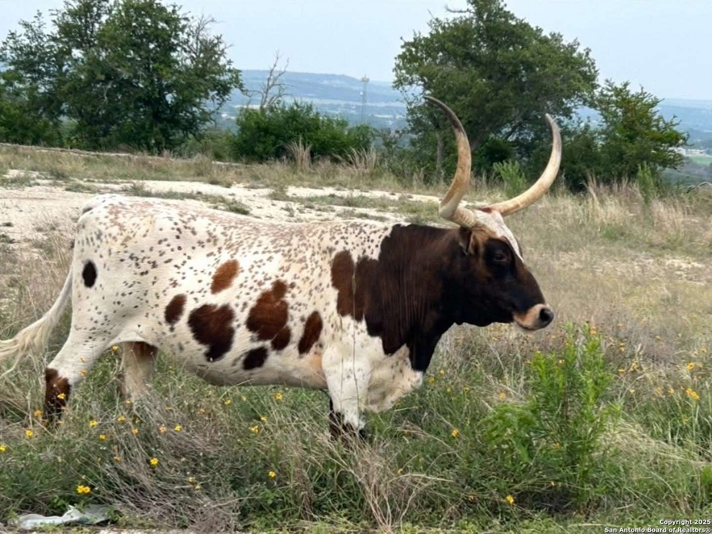 5 Acres of Land for Sale in Kerrville, Texas