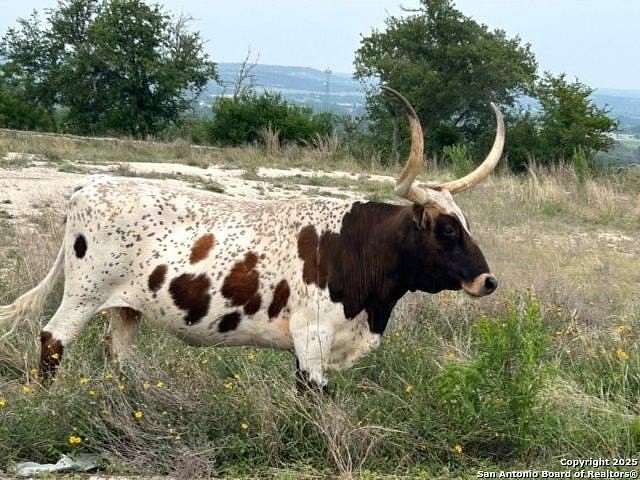 5 Acres of Land for Sale in Kerrville, Texas