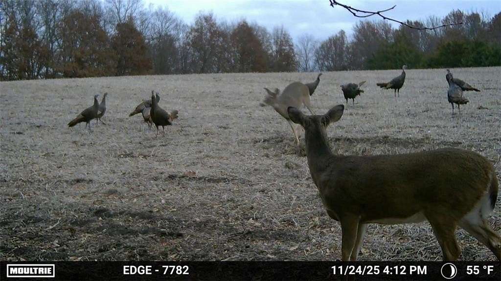 155 Acres of Recreational Land & Farm for Sale in Winston, Missouri