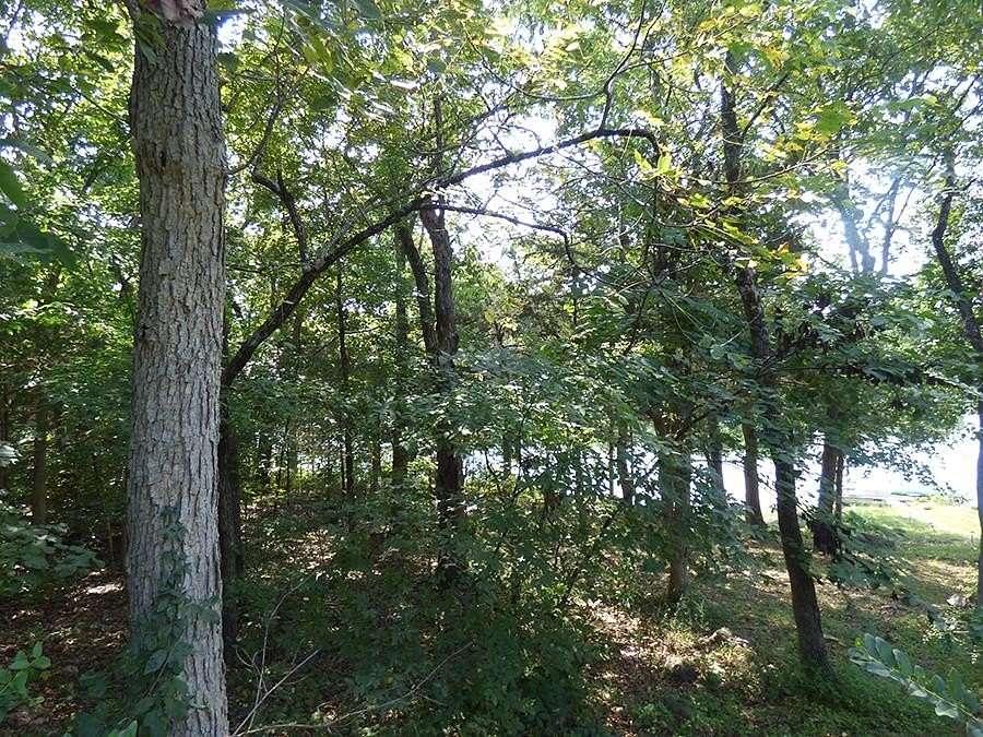0.16 Acres of Residential Land for Sale in Cherokee Village, Arkansas