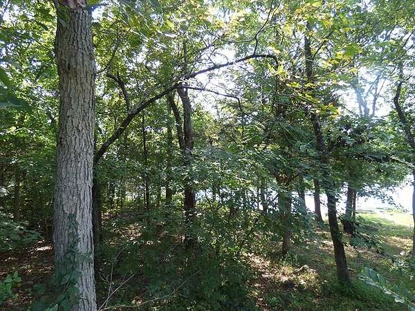 0.16 Acres of Residential Land for Sale in Cherokee Village, Arkansas