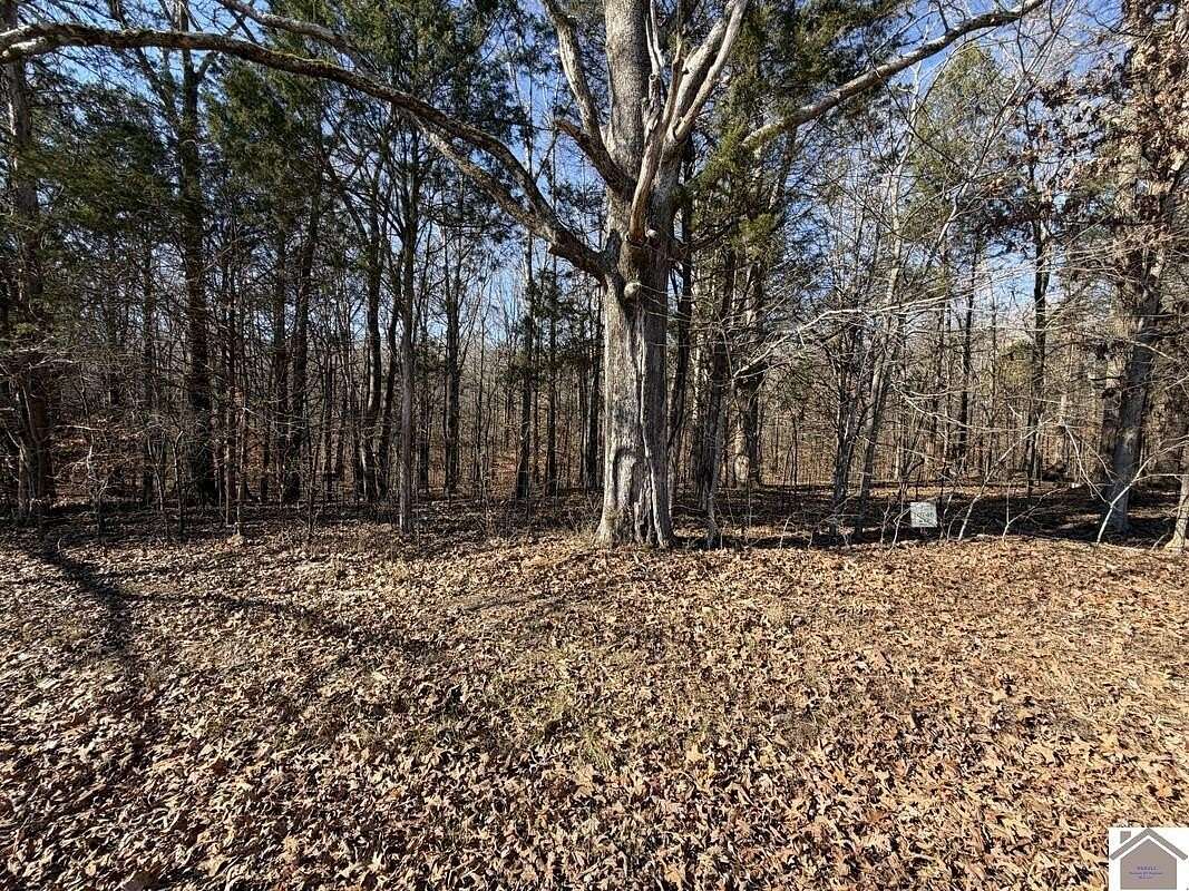 1.5 Acres of Residential Land for Sale in New Concord, Kentucky