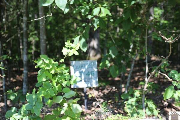 1.5 Acres of Residential Land for Sale in New Concord, Kentucky