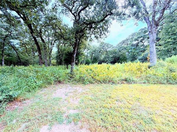 0.88 Acres of Land for Sale in Hilltop Lakes, Texas