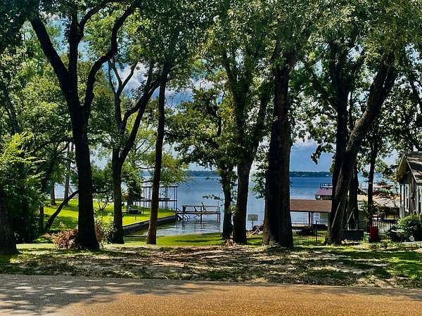 0.46 Acres of Residential Land for Sale in Mabank, Texas