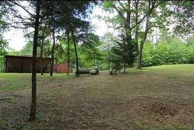 28.8 Acres of Recreational Land & Farm for Sale in Winnsboro, Texas