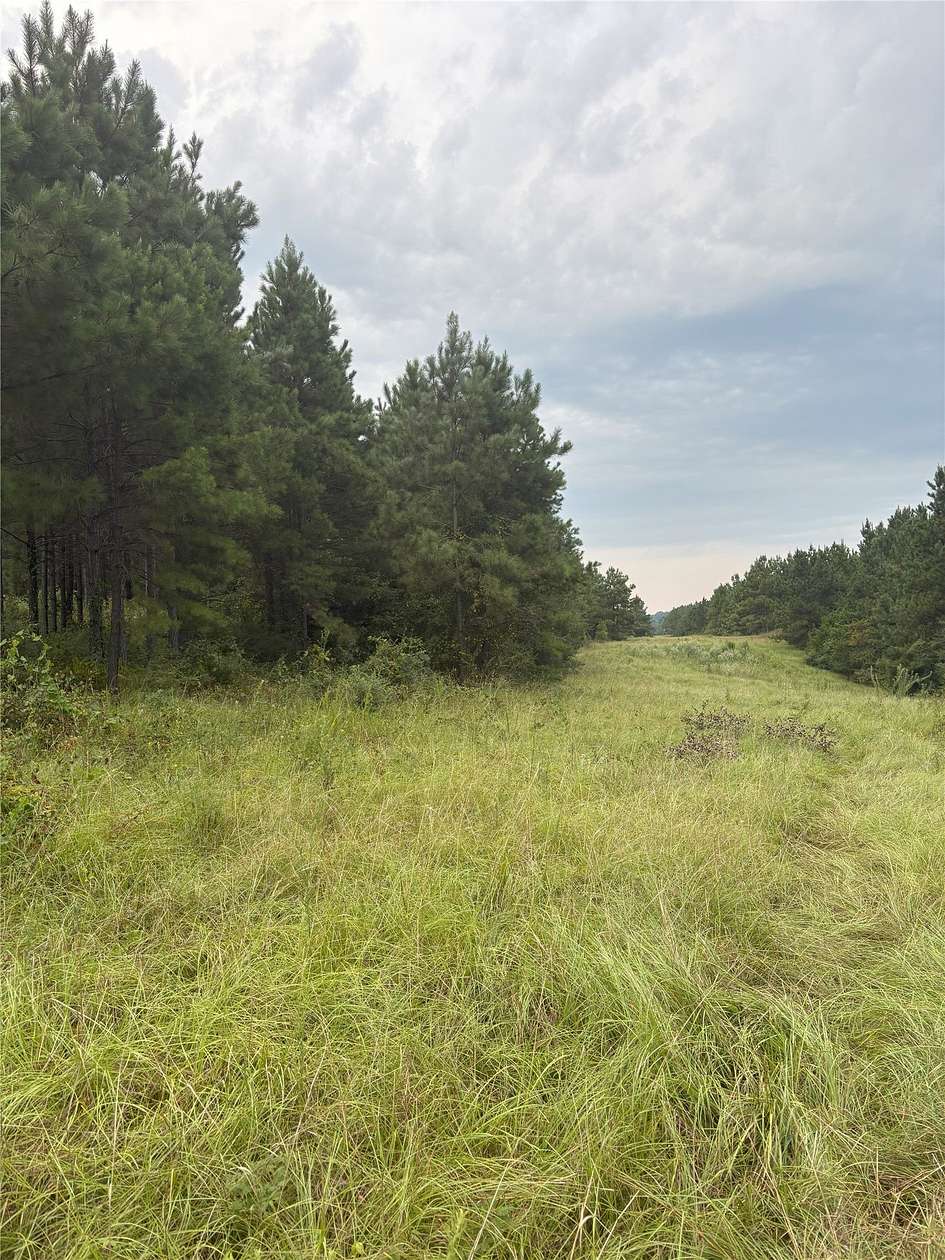 15.3 Acres of Recreational & Residential Land for Sale in Center, Texas