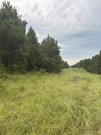 15.3 Acres of Recreational & Residential Land for Sale in Center, Texas