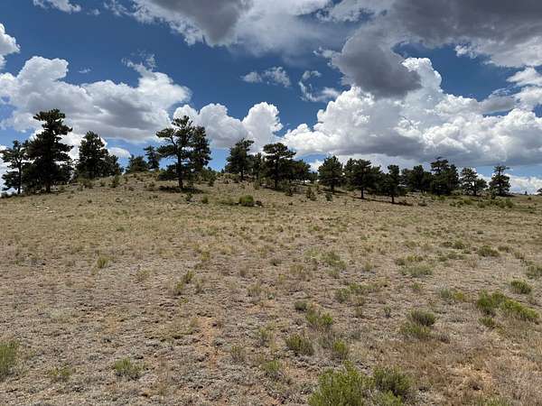 5 Acres of Recreational Land for Sale in Hartsel, Colorado