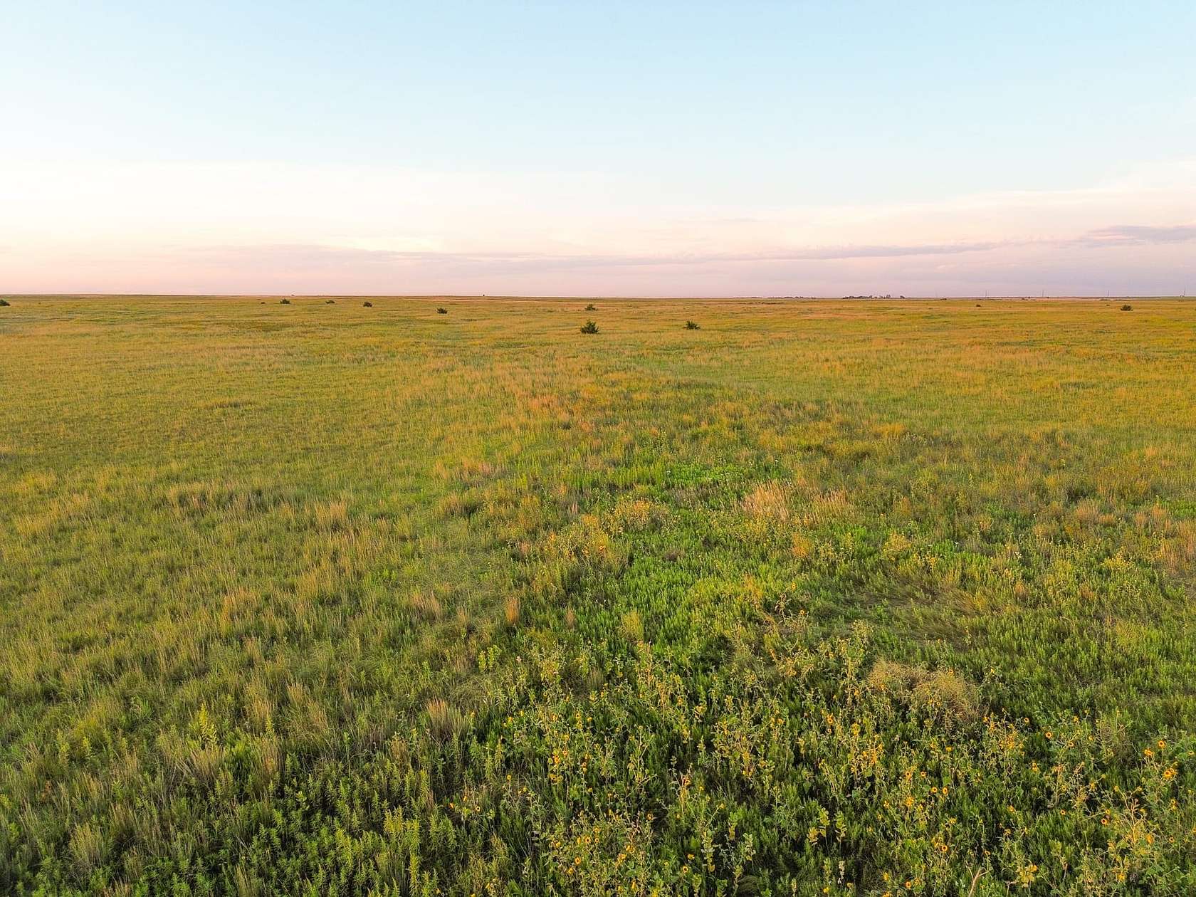 160 Acres of Recreational Land & Farm for Sale in Burdett, Kansas