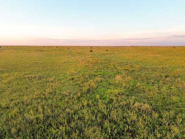 160 Acres of Recreational Land & Farm for Sale in Burdett, Kansas
