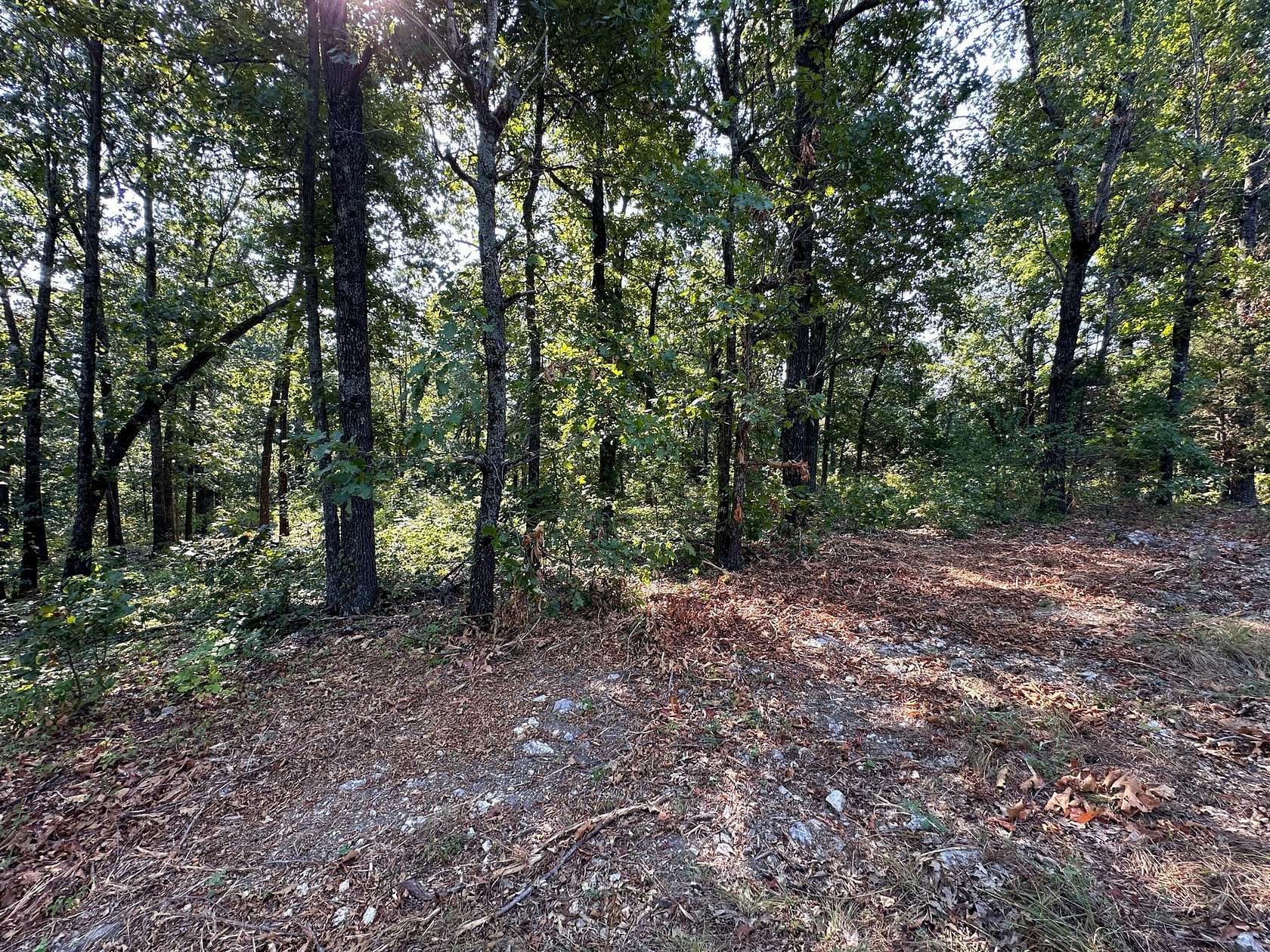 1.2 Acres of Residential Land for Sale in Horseshoe Bend, Arkansas