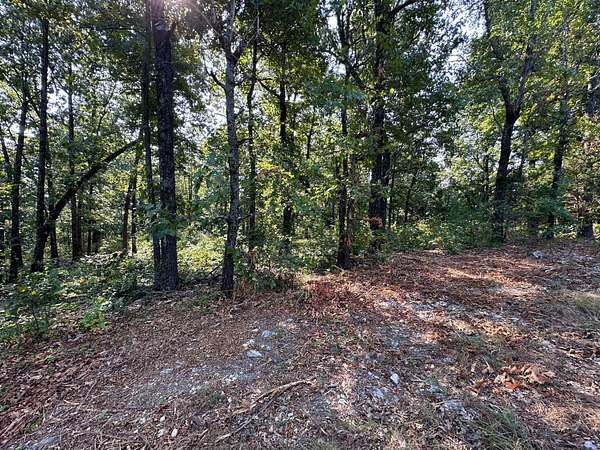 1.2 Acres of Residential Land for Sale in Horseshoe Bend, Arkansas