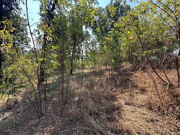 3 Acres of Land for Sale in Horseshoe Bend, Arkansas