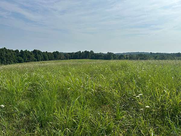 41.8 Acres of Land for Sale in Liberty, Kentucky