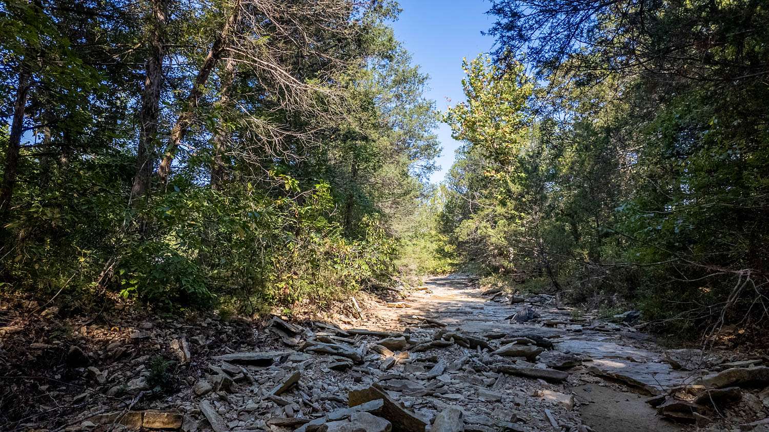 10 Acres of Recreational Land & Farm for Sale in Clarkridge, Arkansas