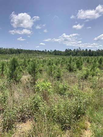 7.5 Acres of Residential Land for Sale in Jessieville, Arkansas
