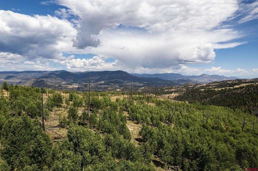 14 Acres of Recreational & Residential Land for Sale in South Fork, Colorado