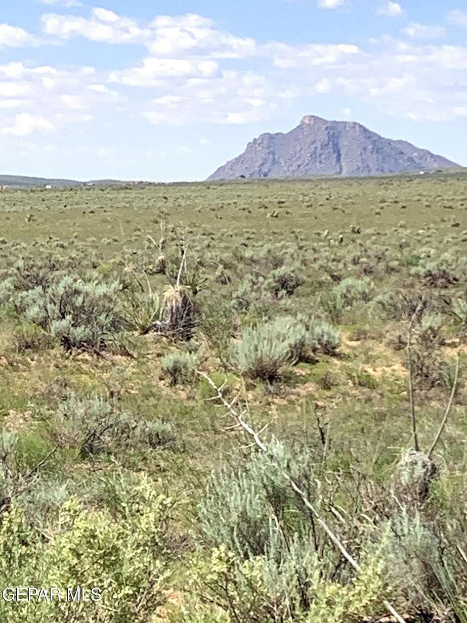 99.8 Acres of Land for Sale in Dell City, Texas