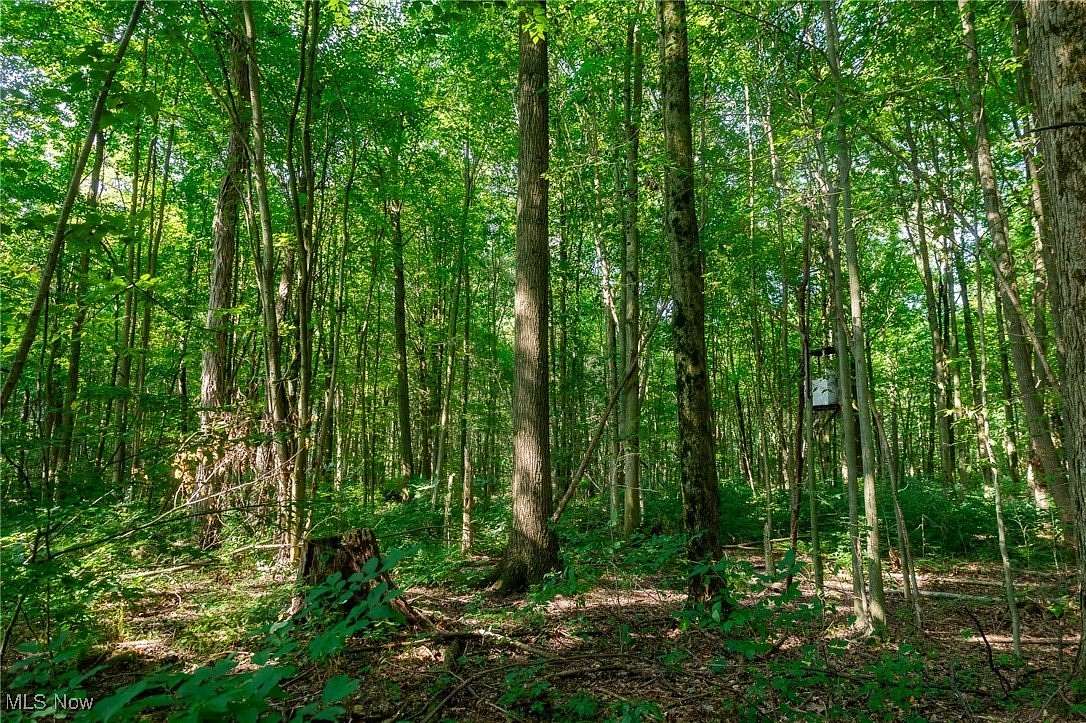 185 Acres of Recreational Land for Sale in Conneaut Lake, Pennsylvania