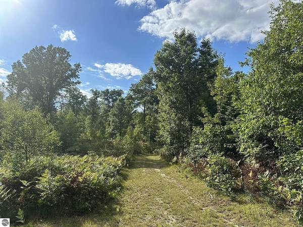 19.3 Acres of Recreational Land for Sale in Cadillac, Michigan