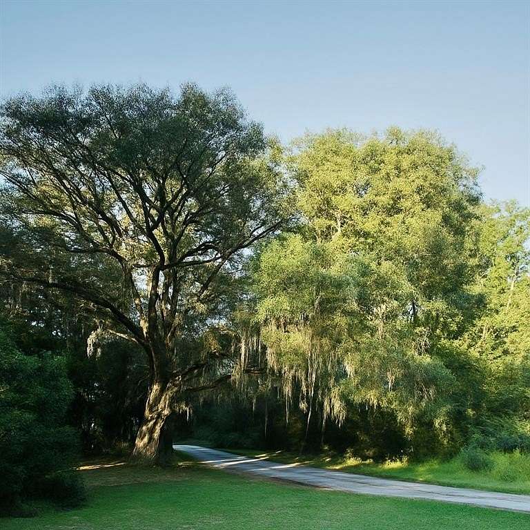 0.64 Acres of Residential Land for Sale in Townsend, Georgia