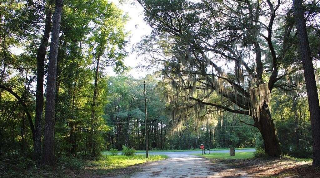 0.52 Acres of Residential Land for Sale in Townsend, Georgia