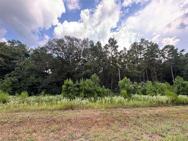 1 Acre of Residential Land for Sale in Huntsville, Texas