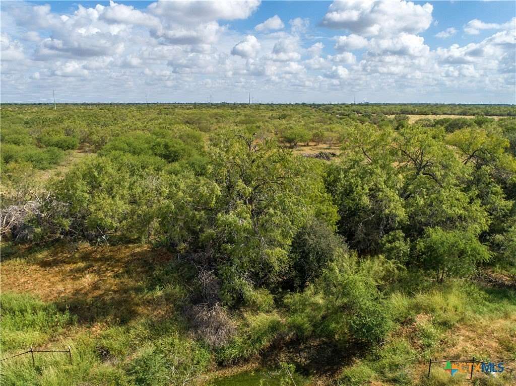 22.3 Acres of Agricultural Land for Sale in Jourdanton, Texas