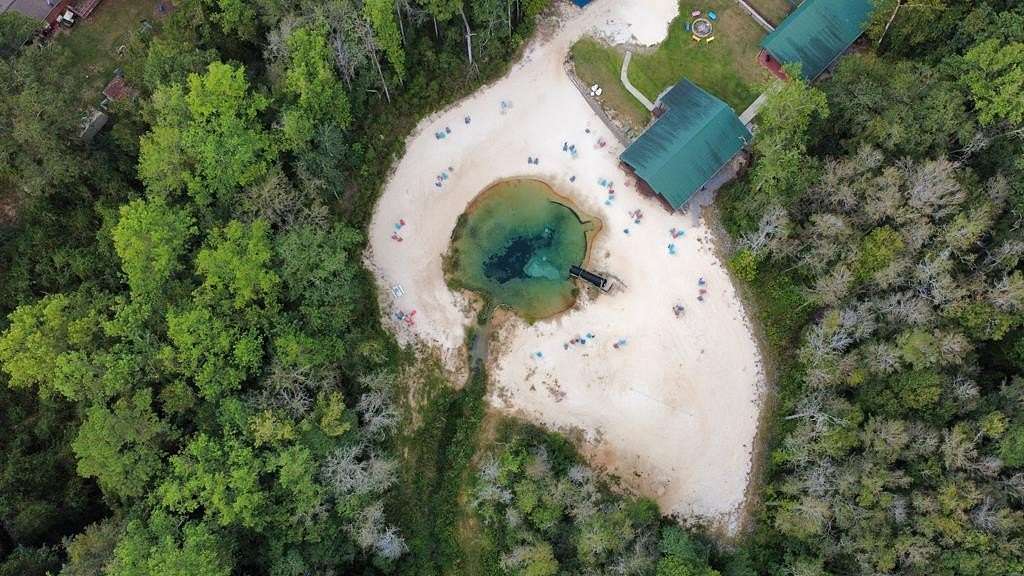 15.2 Acres of Land for Sale in Coffee Springs, Alabama